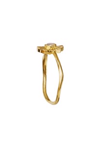 Elin ring Gold Maanesten